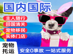 桂林两江空运代理国际宠物托运 【国